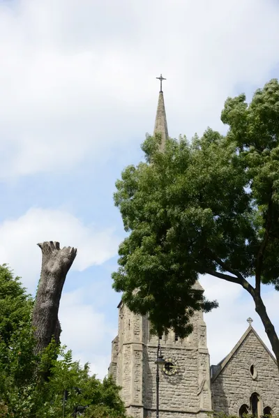 DSC_2762 (Large).JPG